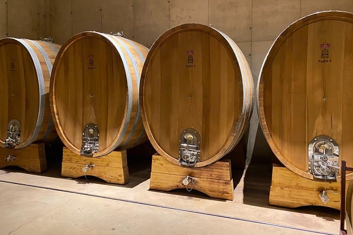Journée complète de dégustations premium dans les caves de Requena — photo 2