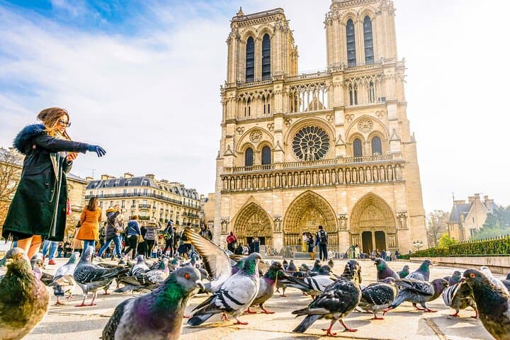 Tour della Cattedrale di Notre-Dame con Audioguida — foto 1