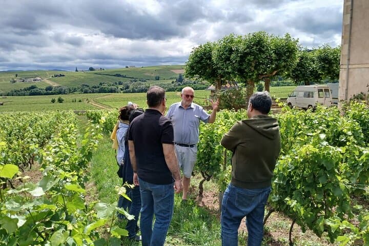 Beaujolais Halbtägige Weinverkostungstour — Foto 3