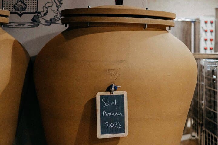 Beaujolais 100% Wein Tour Kleingruppentour mit Verkostung ab Lyon — Foto 4
