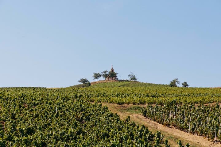 Beaujolais 100% Wein Tour Kleingruppentour mit Verkostung ab Lyon — Foto 5