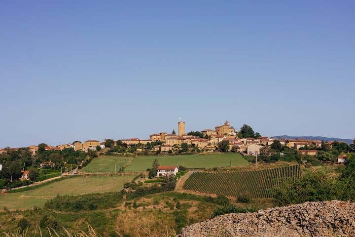 Visite des Vins du Beaujolais avec Dégustations depuis Lyon — photo 1