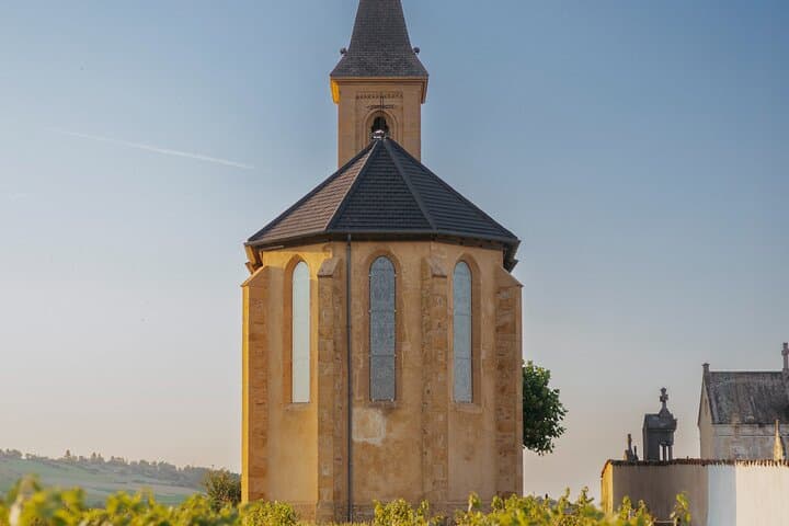 Visite des Vins du Beaujolais avec Dégustations depuis Lyon — photo 2