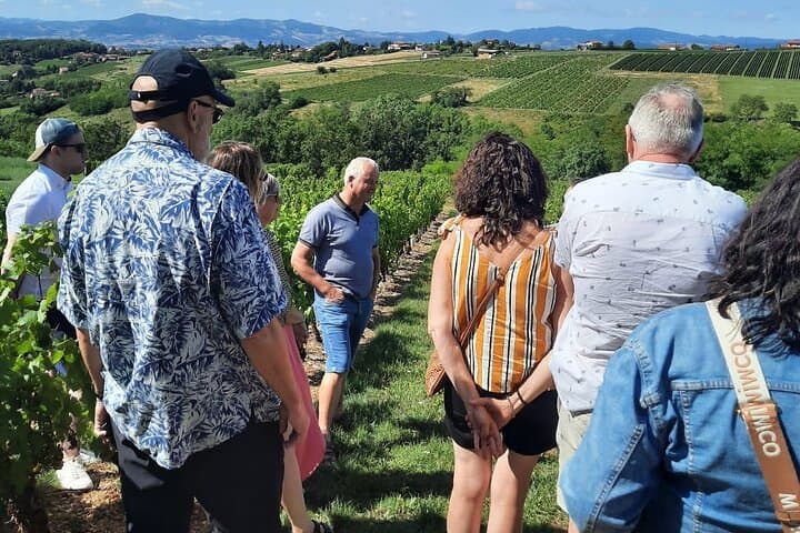 Visite des Vins du Beaujolais avec Dégustations depuis Lyon — photo 3