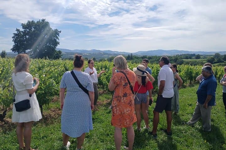 Visite des Vins du Beaujolais avec Dégustations depuis Lyon — photo 5