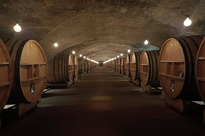 Beaujolais Wein und das mittelalterliche Dorf Pérouges - Ganztägige Gruppenreise — Foto 4