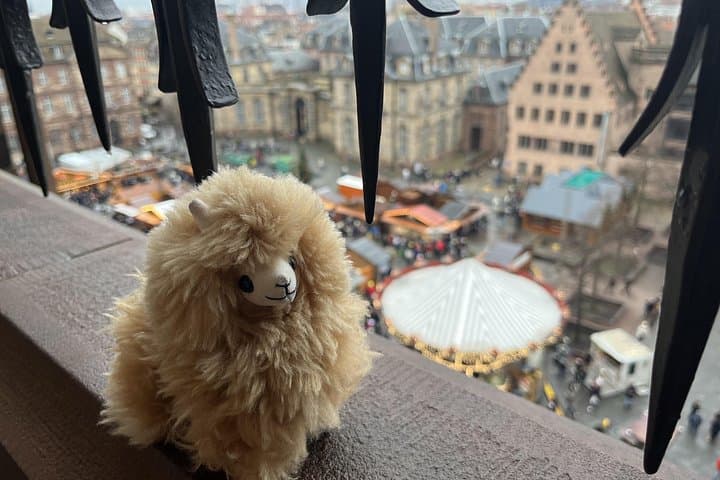 Tour Privato a Piedi di Strasburgo — foto 3