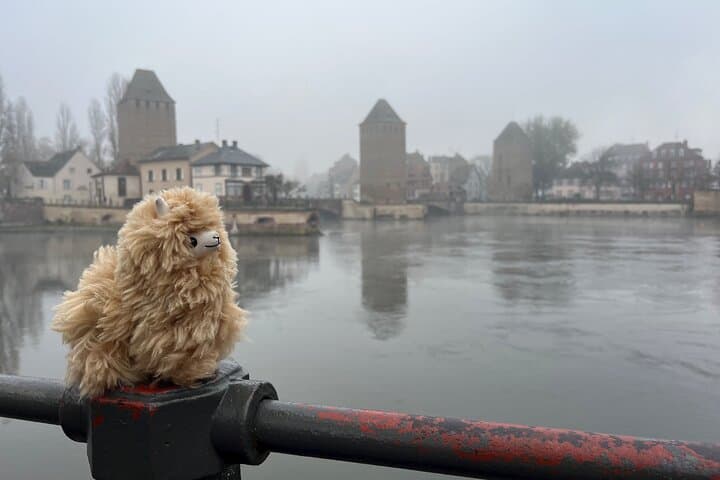 Tour Privato a Piedi di Strasburgo — foto 2