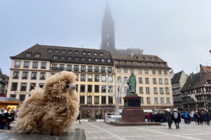 Visite privée à pied de Strasbourg