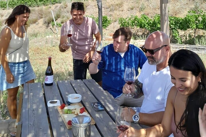 Priorat-Tour zu 3 kleinen Weingütern und Hotelabholung — Foto 4