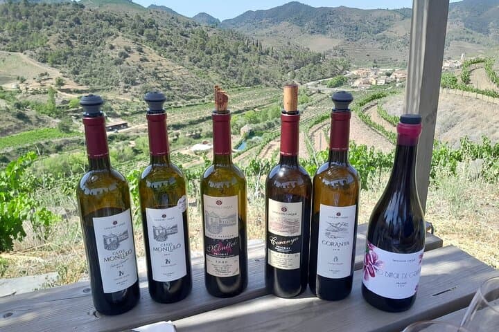 Priorat-Tour zu 3 kleinen Weingütern und Hotelabholung — Foto 5