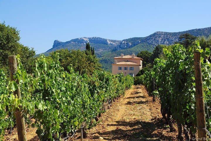 Zwei Tage Weinentdeckung in der Provence