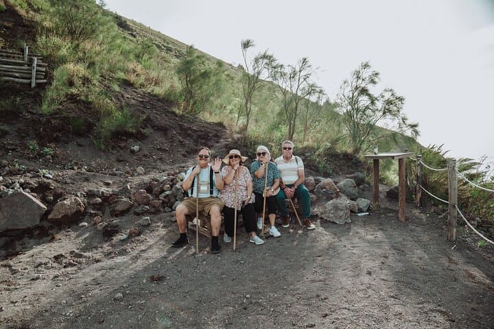 Tour di gruppo ridotto a Pompei e Monte Vesuvio da Napoli — foto 3