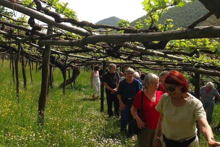Expérience sur la Côte Amalfitaine et Dégustation de Vins Locaux depuis Amalfi — photo 3