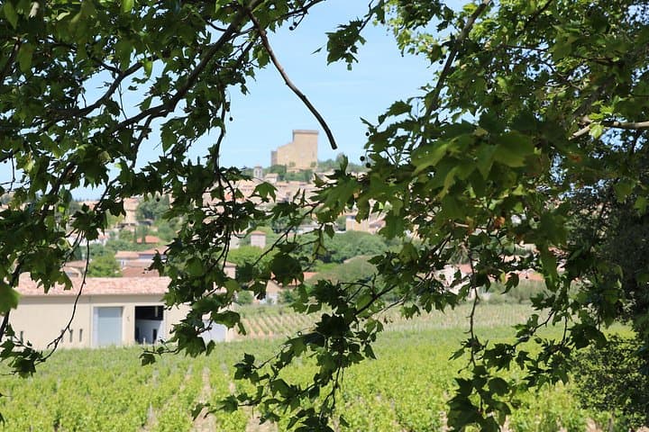 Zwei Tage Entdeckung der Weine des Rhône-Tals — Foto 2