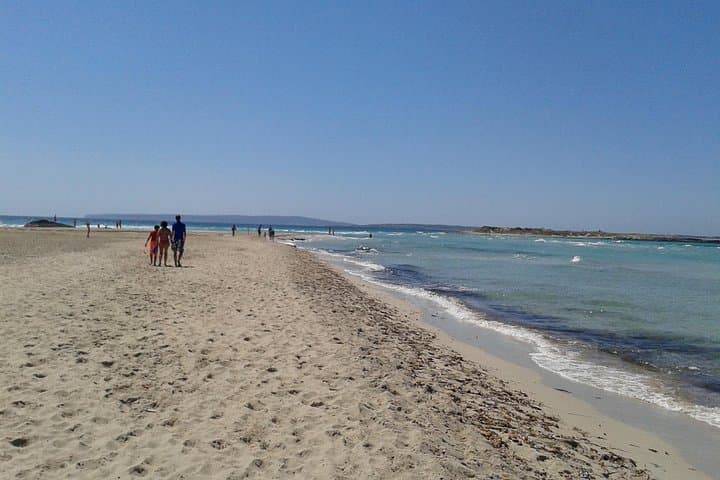 Tour di Formentera da Ibiza con Trasferimento e Spiagge — foto 2