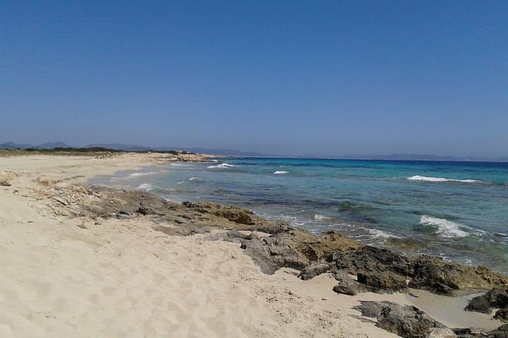 Tour di Formentera da Ibiza con Trasferimento e Spiagge — foto 3