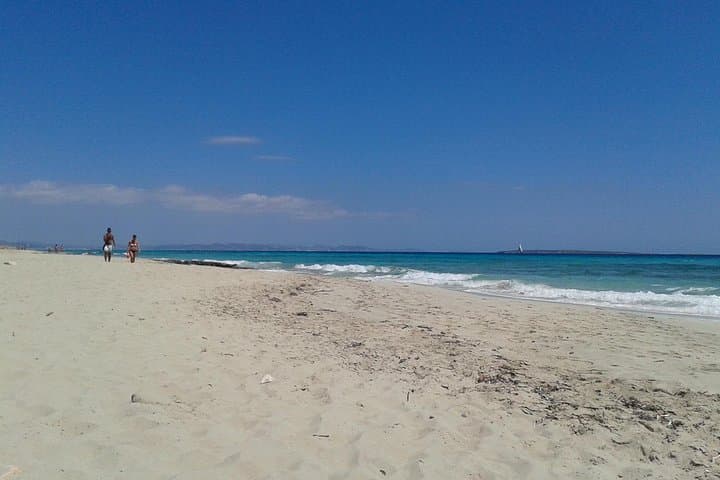 Tour di Formentera da Ibiza con Trasferimento e Spiagge — foto 4