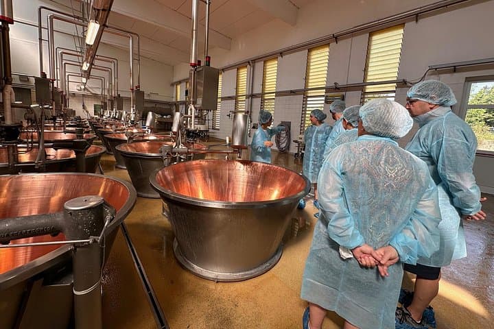 Da Verona: gita a Modena alla fabbrica di Parmigiano, aceto e Ferrari — foto 2