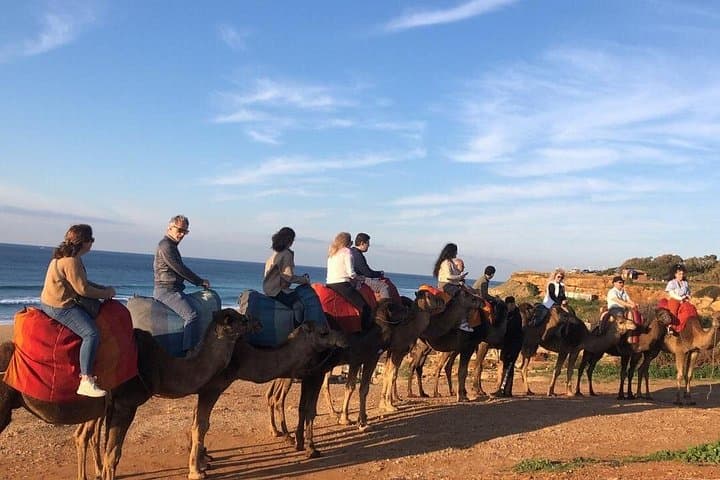 Tour Privado VIP Guiado a Tánger Desde Málaga / Marbella o Tarifa — foto 3