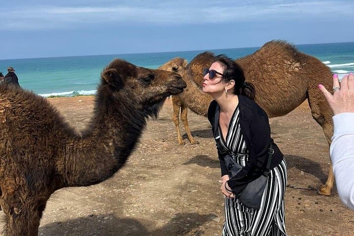 Tour Privado VIP Guiado a Tánger Desde Málaga / Marbella o Tarifa — foto 5