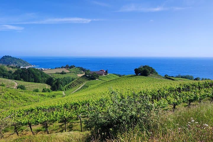 Private Txakoli-Weintour entlang der Küste von San Sebastian — Foto 4