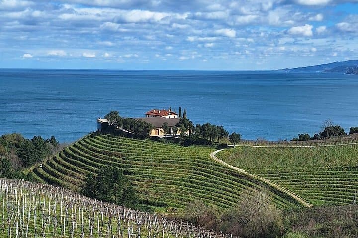 Private Txakoli-Weintour entlang der Küste von San Sebastian