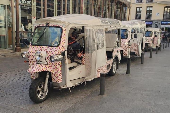 Madrid Sightseeing Tuk Tuk Tours — Foto 3