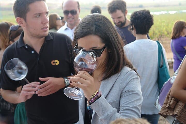 Tour del Vigneto di Valencia con Degustazione di Vini — foto 2