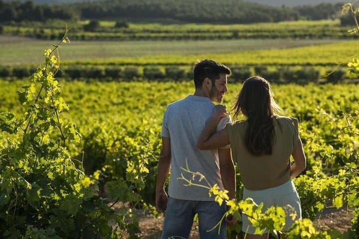 Tour del Vigneto di Valencia con Degustazione di Vini