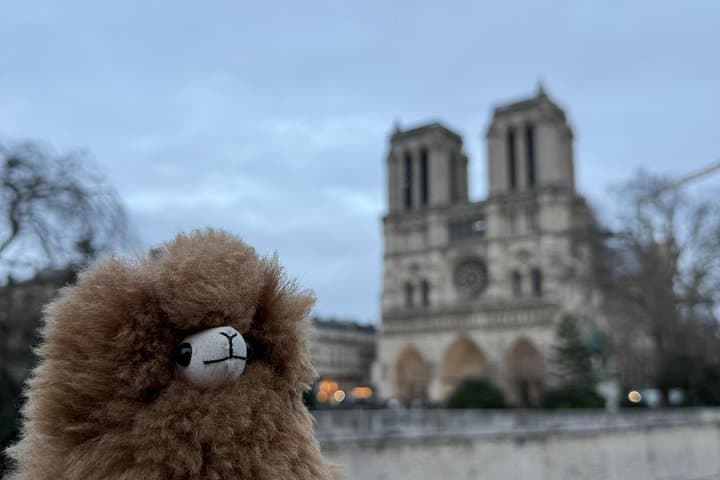 Tour Privado a Pie por París con Visita a Notre-Dame