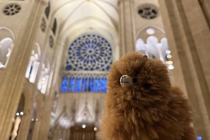 Tour Privado a Pie por París con Visita a Notre-Dame — foto 2