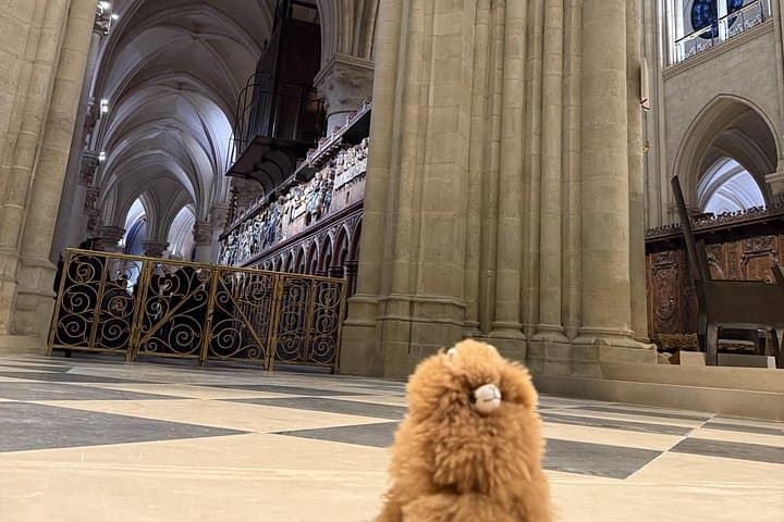 Tour Privado a Pie por París con Visita a Notre-Dame — foto 3