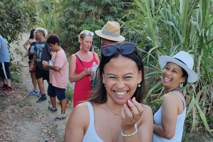 Visite de la plantation de café et des fruits tropicaux à Herradura — photo 3