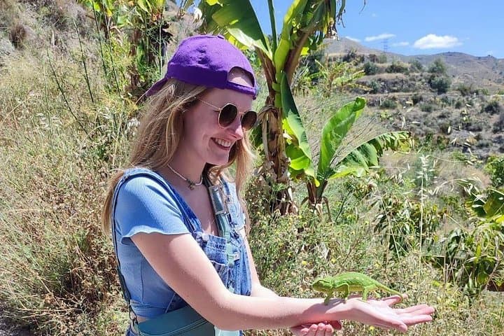 Visite de la plantation de café et des fruits tropicaux à Herradura — photo 4