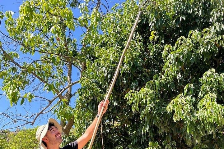 Visite de la plantation de café et des fruits tropicaux à Herradura — photo 5