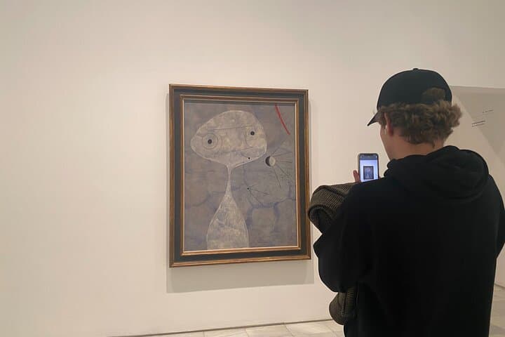 Tour semi-privato del Museo Reina Sofia — foto 4