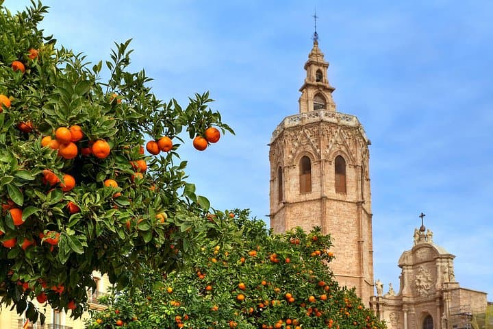Geführte Tour durch das historische Zentrum von Valencia — Foto 5
