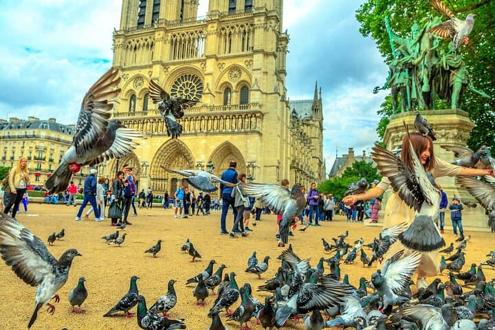 Tour della Cattedrale di Notre-Dame con Audioguida — foto 5