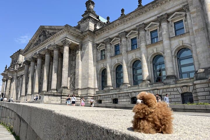 Visite privée de la ville de Berlin en voiture — photo 4