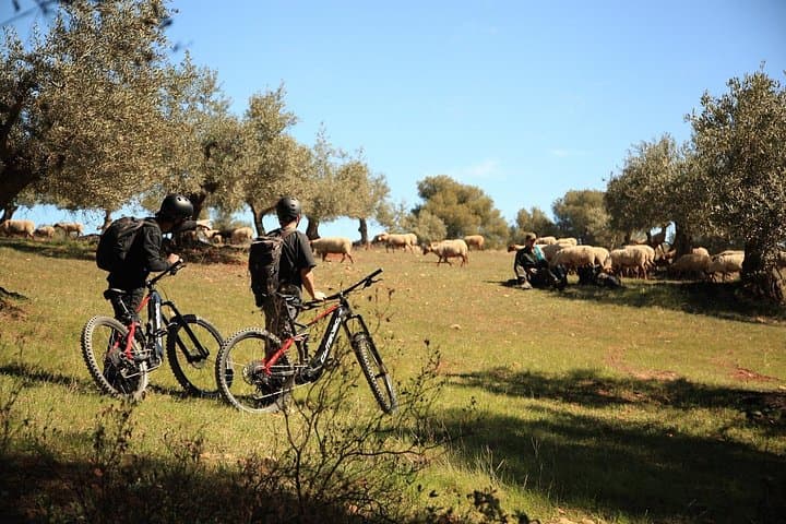 Granada: Natur, Tierwelt und authentische Dörfer E-Bike Tour — Foto 2