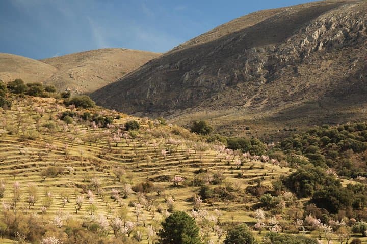 Granada: Natur, Tierwelt und authentische Dörfer E-Bike Tour — Foto 4
