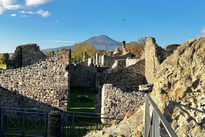 Pompeii Halbtagesausflug von Neapel — Foto 4
