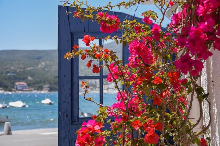Tour semi-privato della Casa e Museo di Salvador Dalí e di Cadaqués — foto 5