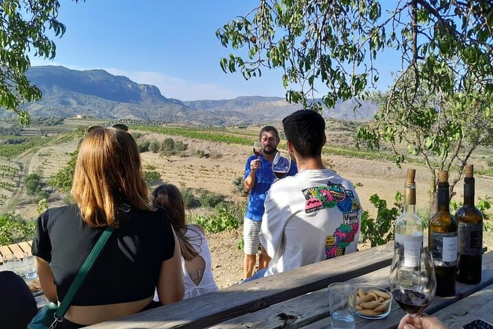 Priorat-Tour zu 3 kleinen Weingütern und Hotelabholung — Foto 2