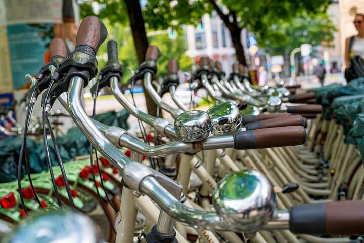 Tour en bicicleta por la ciudad y el Jardín Inglés