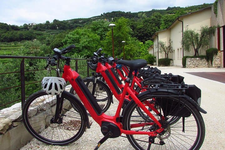 Tour en E-bike por el Museo del Vino en Verona