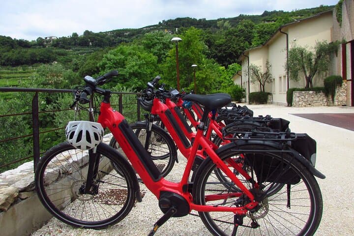 Tour en E-bike por el Museo del Vino en Verona
