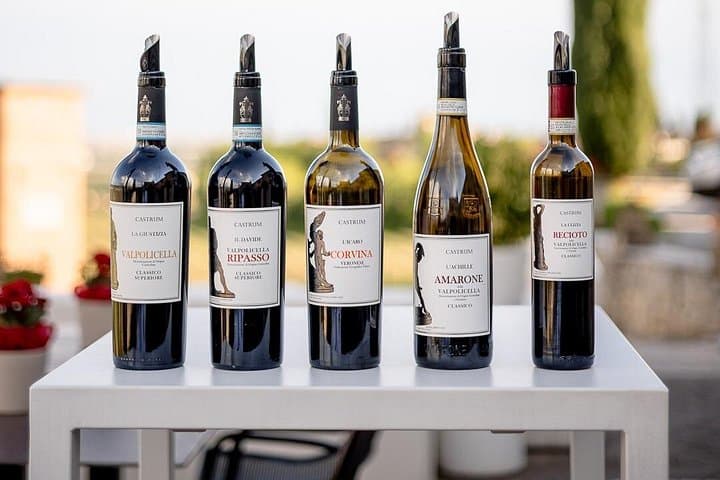Expérience de Dégustation de Vin en Valpolicella
