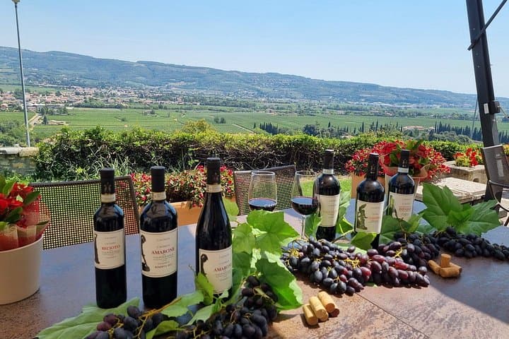 Esperienza di Degustazione di Vini in Valpolicella — foto 5